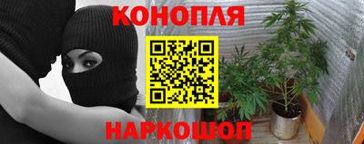 гидропоника Ачхой-Мартан