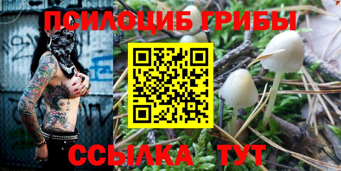 Галлюциногенные грибы прущие грибы Коркино